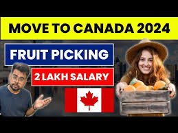 Packing Jobs in Canada 2025