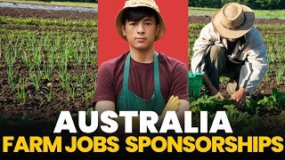 The Reality of Unskilled Jobs and Visa Sponsorship in Australia 2025